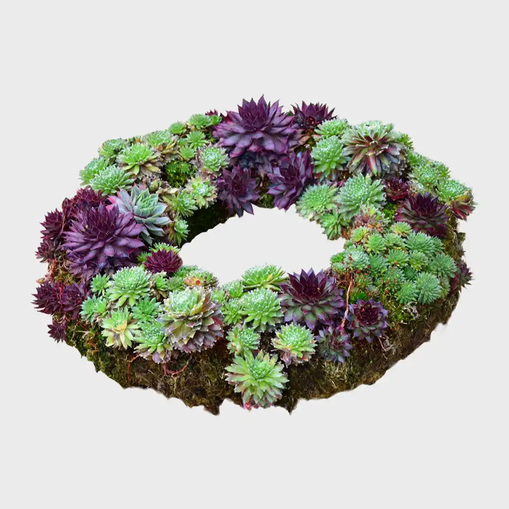 Langlebiger Grabschmuck Kranz Ø 35cm