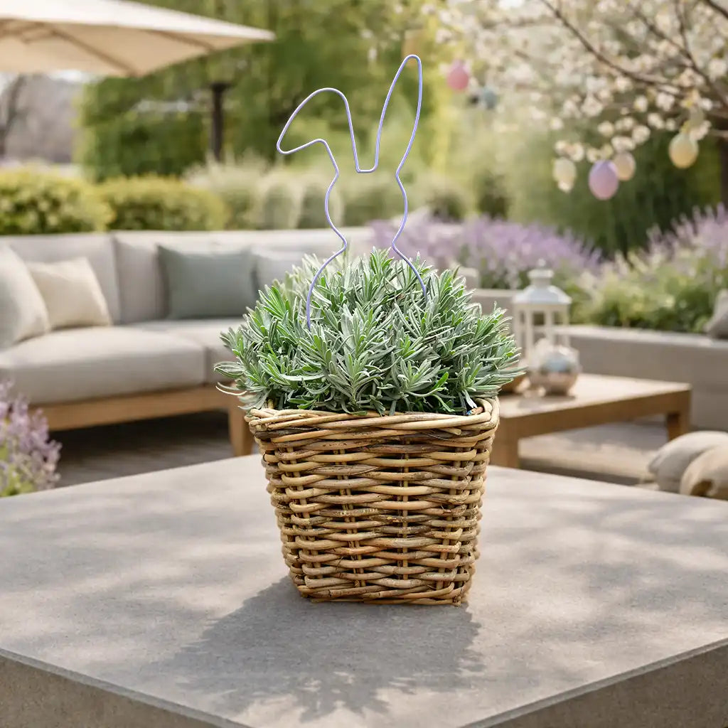 Mediterranes Ostergeschenk