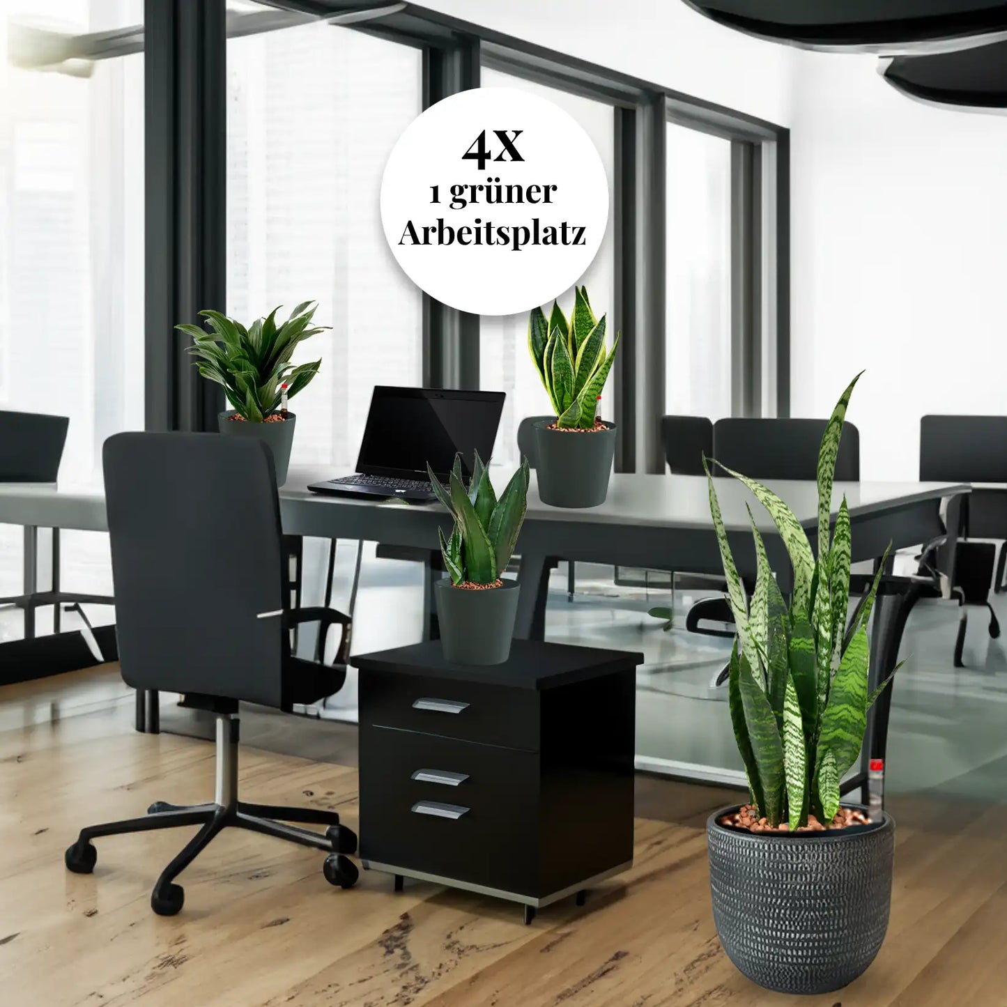 Palettenset InStyle-Keramik : 16 Büropflanzen in Hydrokultur