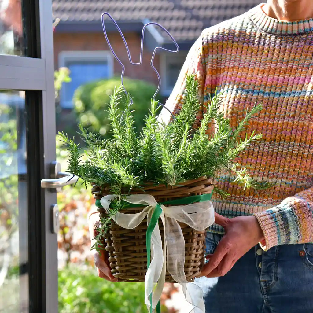 Mediterranes Ostergeschenk
