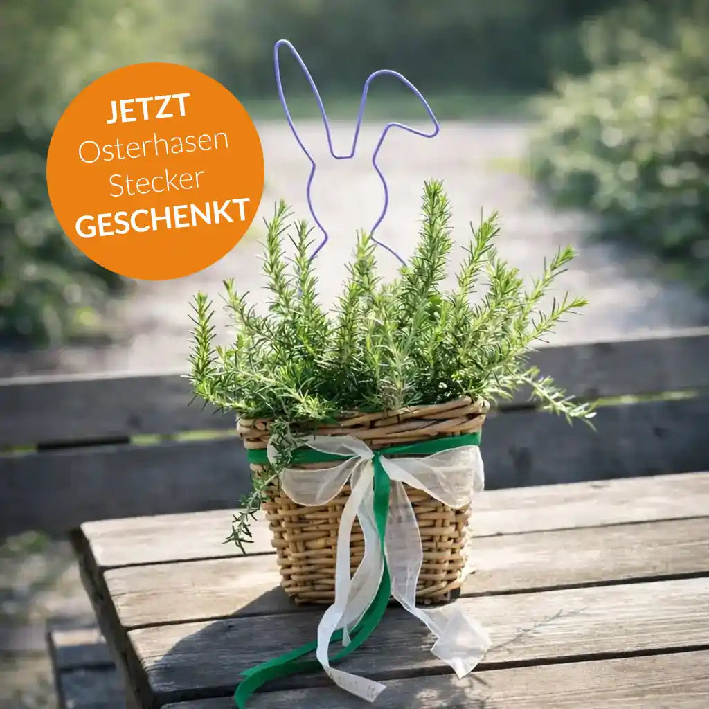 Mediterranes Ostergeschenk