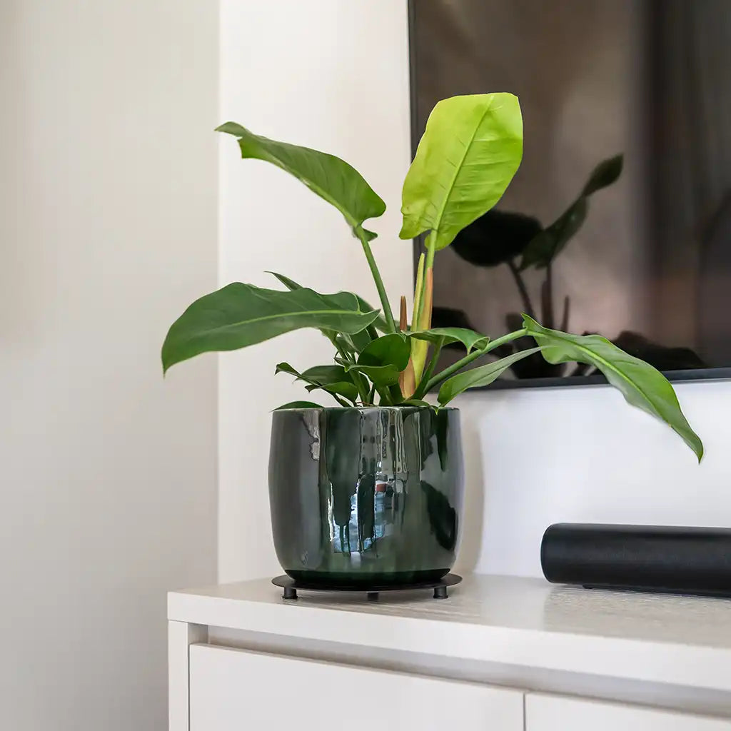 Metalltopf Babet 17cm