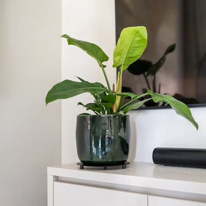 Metalltopf Babet 17cm