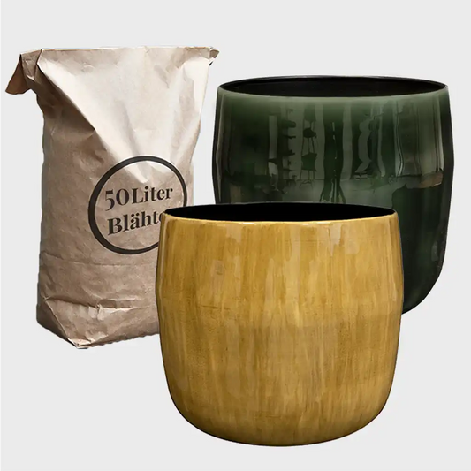 Metalltopf Babet in gelb oder grün mit Blähton für Hydrokulturpflanzen kaufen