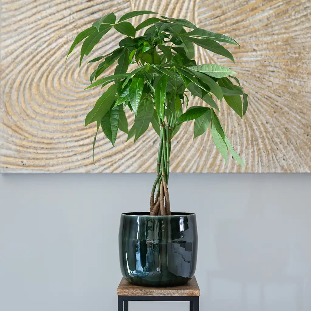 Metalltopf Babet 24cm