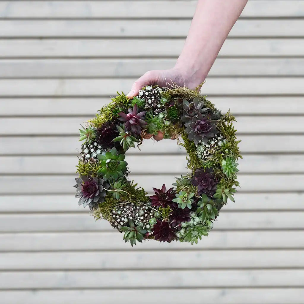 lebender Mooskranz mit Sukkulenten für den Balkon zum kaufen