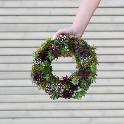 lebender Mooskranz mit Sukkulenten für den Balkon zum kaufen