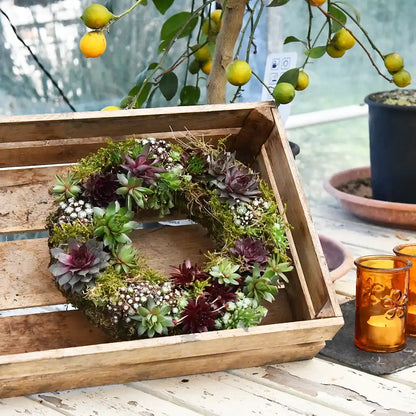 lebender Mooskranz mit Sukkulenten für den Balkon zum kaufen, Dekoration für den Tisch