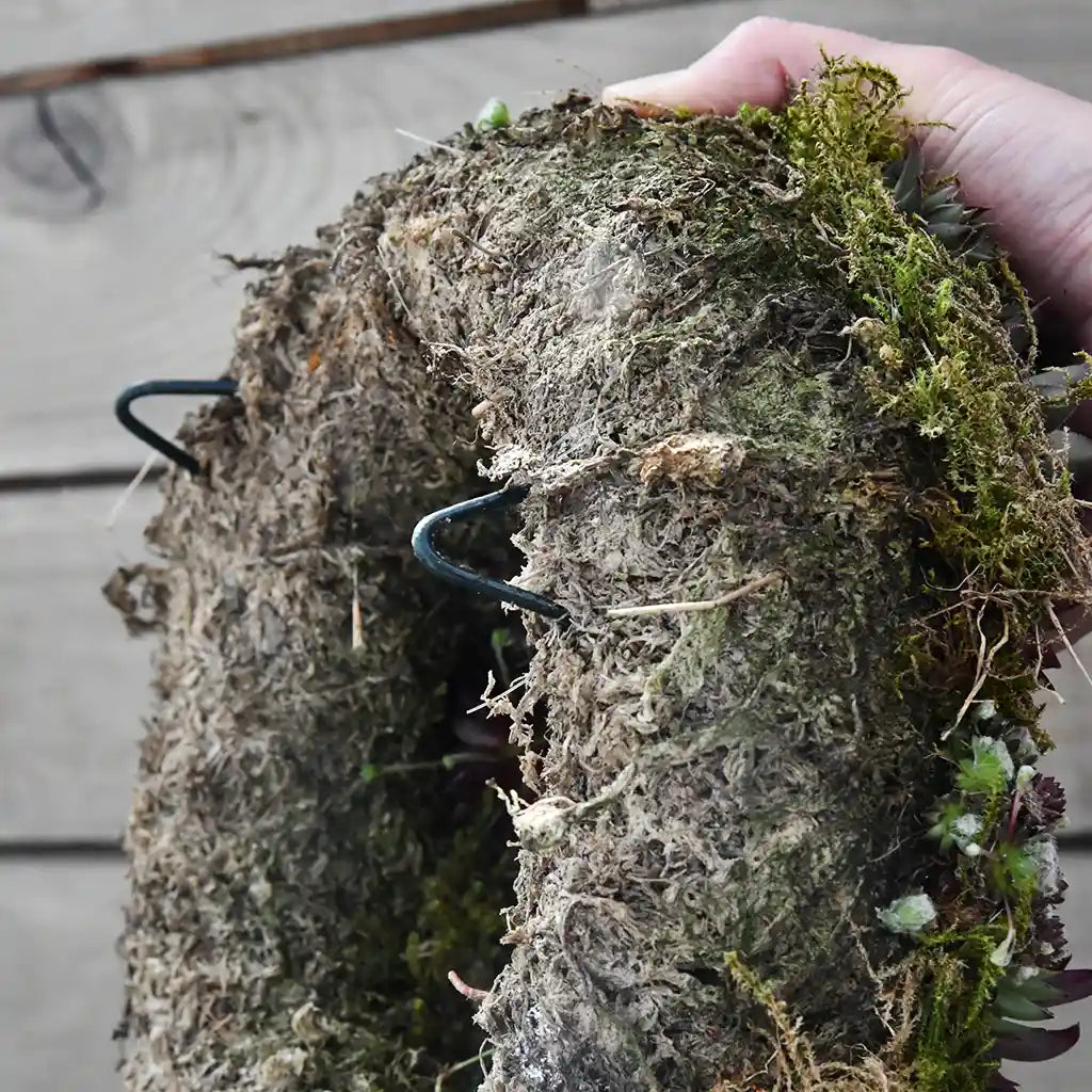 Mooskranz Unterseite aus Torfmoos und Erde mit kleinen Standüßen zum Aufstellen 