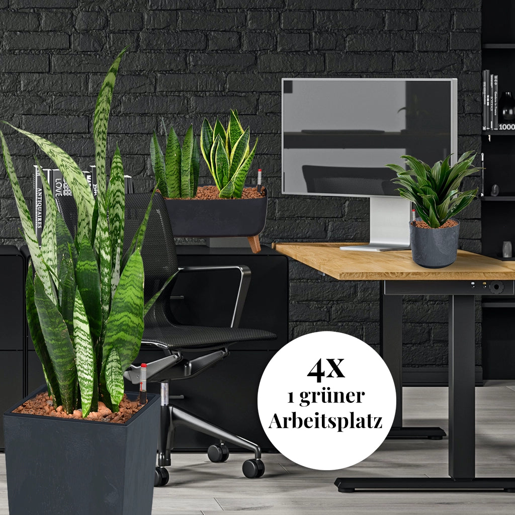 Kompletten grünen Arbeitsplatz einrichten mit einer hohen Pflanze, einem Sideboard und einer Einzelpflanze