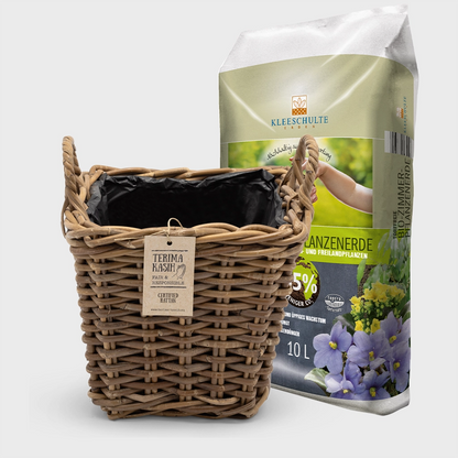 Rattankorb Eckig mit Griff 32cm mit Erde