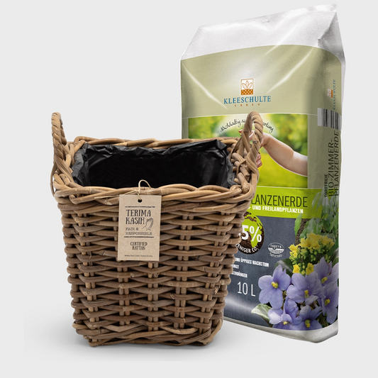 Rattankorb Eckig mit Griff 32cm mit Erde