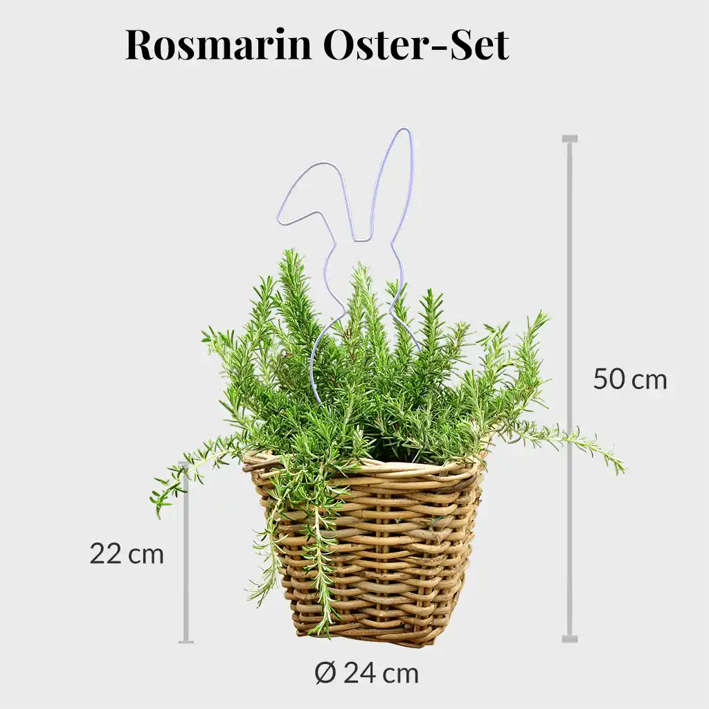 Mediterranes Ostergeschenk