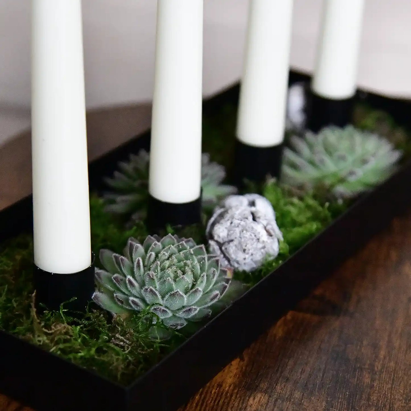 Sansevieria Adventskranz in Metallschale