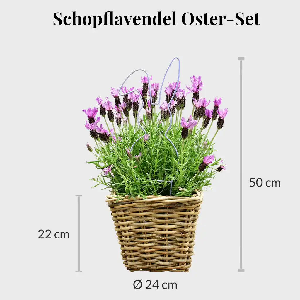 Mediterranes Ostergeschenk