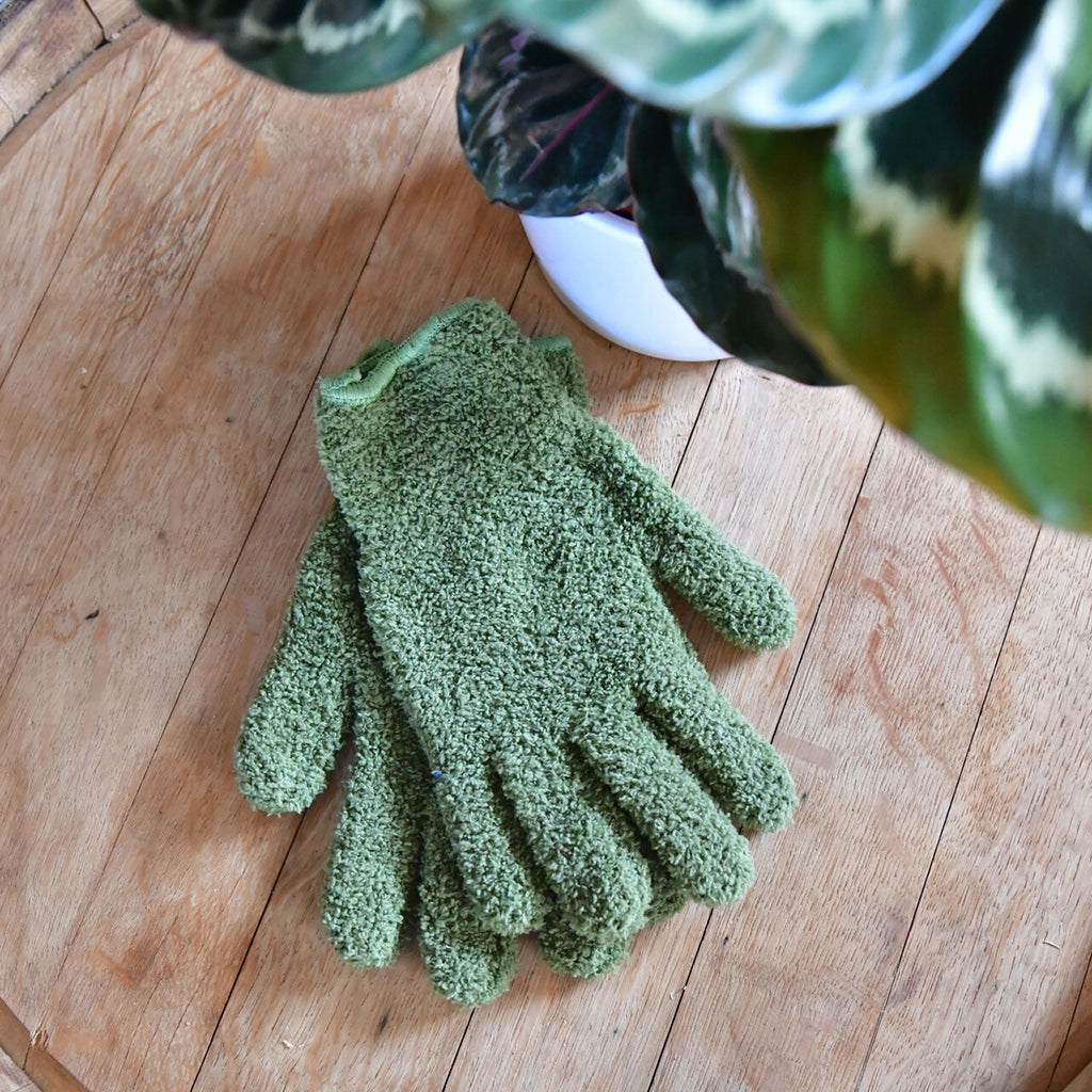 Staubhandschuhe zur Reinigung der Pflanzenblätter zu Pflanzenpflege