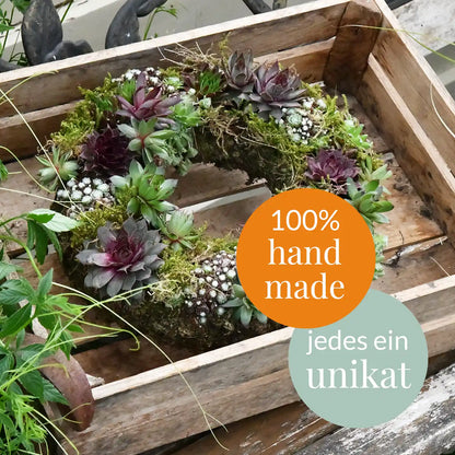 Sukkulentenkranz Ø 35cm