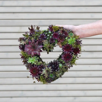 Sukkulentenkranz in Herzform Ø 25cm