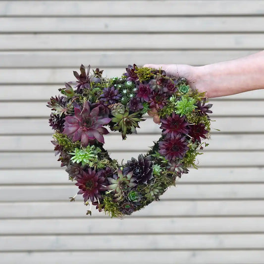 Sukkulentenkranz in Herzform Ø 25cm