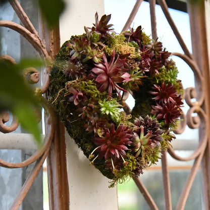 Sukkulentenkranz in Herzform Ø 25cm