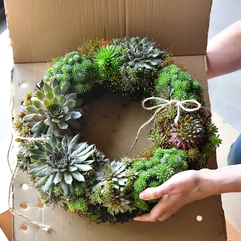 Trauerkranz optional mit Schleife Ø 35cm