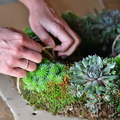 Grabschmuck Sukkulenten Herz Ø 25cm