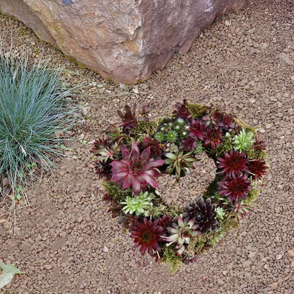 Grabschmuck Sukkulenten Herz Ø 25cm