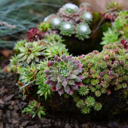 Langlebiger Grabschmuck Kranz Ø 25cm