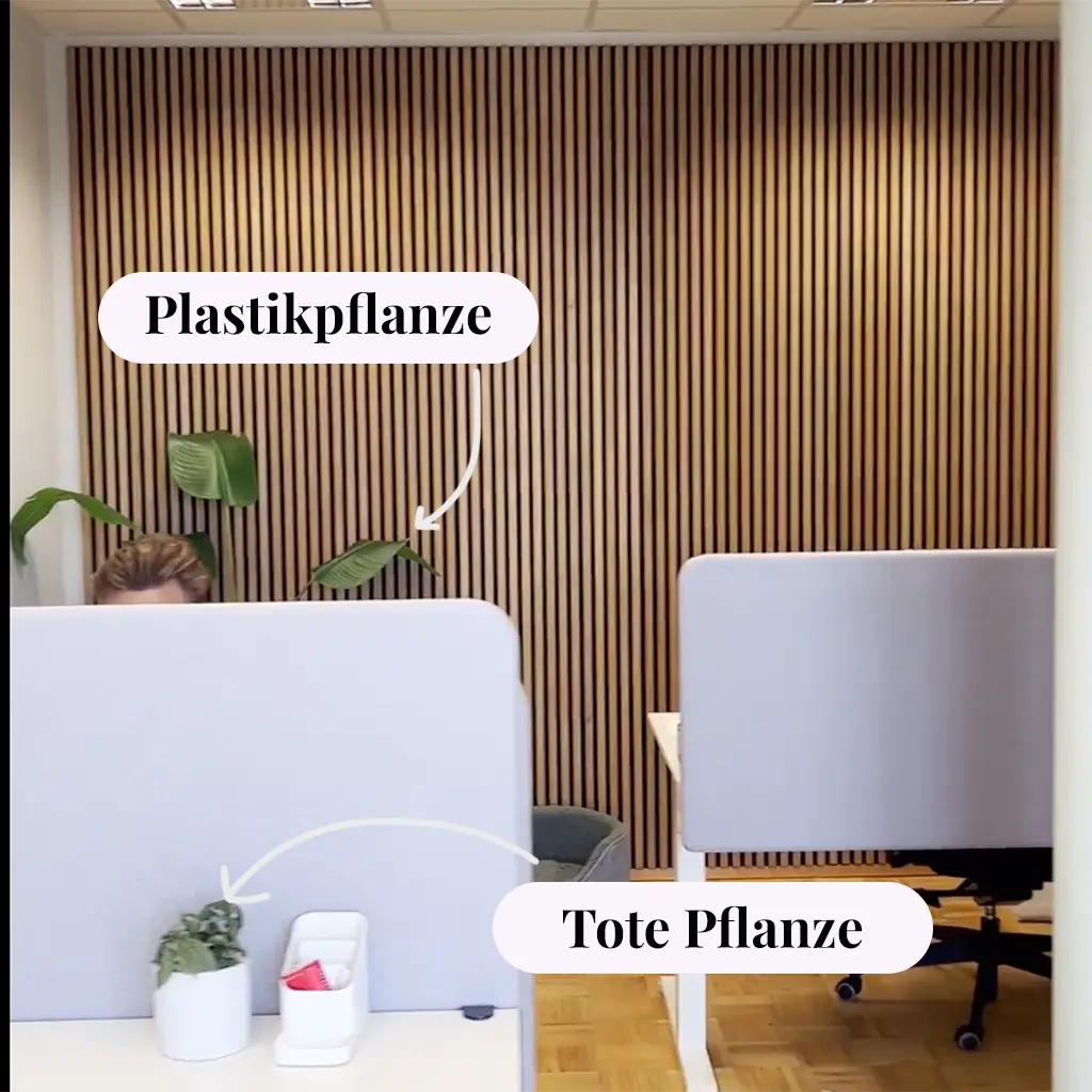 Büro vor vertrockneten Pflanzen und Plastik Pflanzen