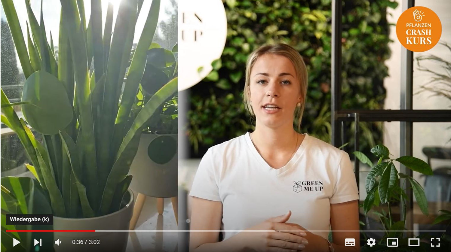 Pflanze-Crash-Kurs Lektion 5