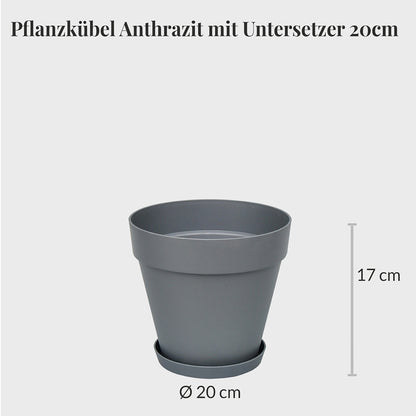 6er Übertopfset 1L 1M 4S Anthrazit