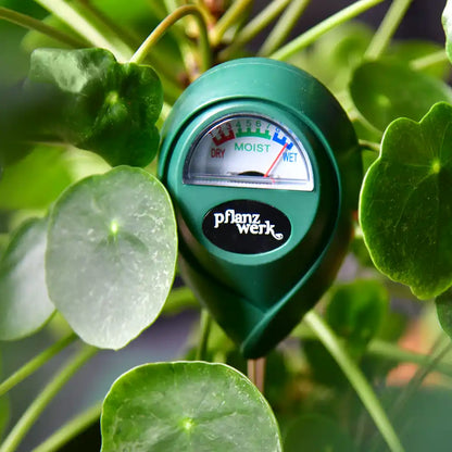 Boden-Feuchtigkeitsmesser für Pflanzen