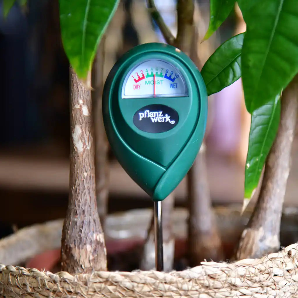 Boden-Feuchtigkeitsmesser für Pflanzen