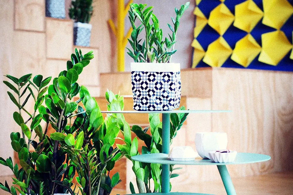 Glücksfeder in retro Topf