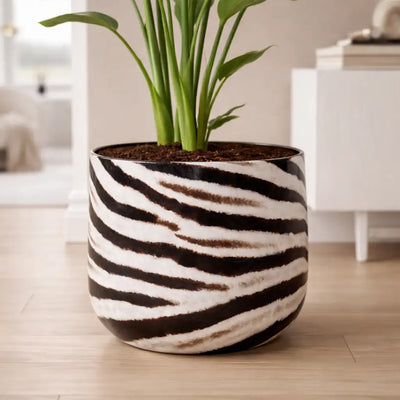 Animal Print Übertopf in Zebra Optik für moderne Räume