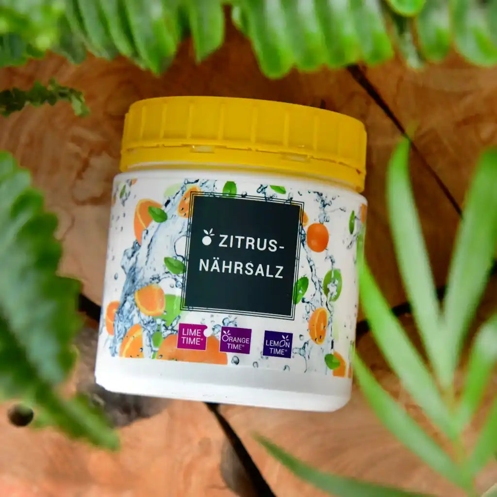 Zitrus Nährsalz zur Verbesserung des Wachstums und der Gesundheit von mediterranen Zitrus- und Zitronenpflanzen
