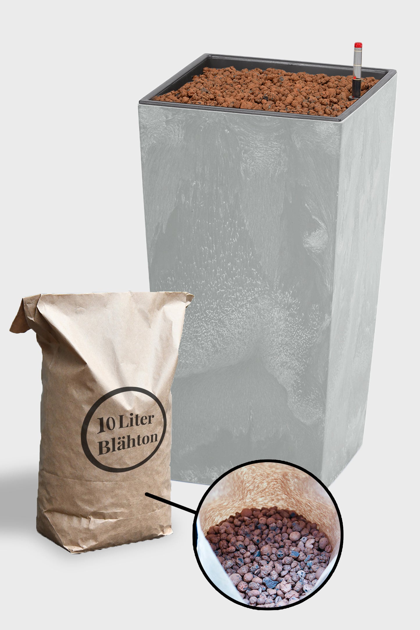 HYDRO SET XL Büropflanze Bogenhanf mit hoher Vase in Betonoptik