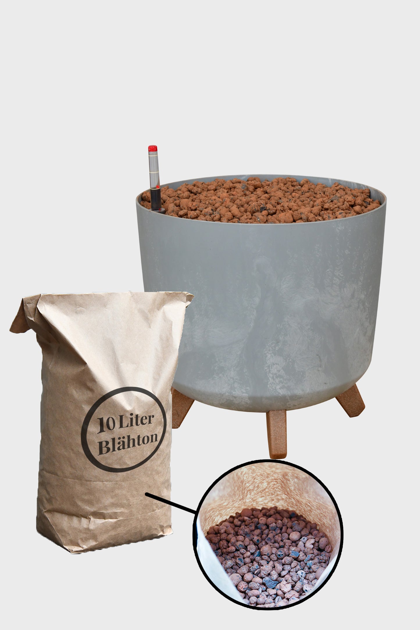 HYDRO SET XL BÜROPFLANZE Kentia Palme mit Pflanzgefäß in Betonoptik, 120-130cm