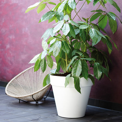 Elho Loft 30cm mit Erde 10L