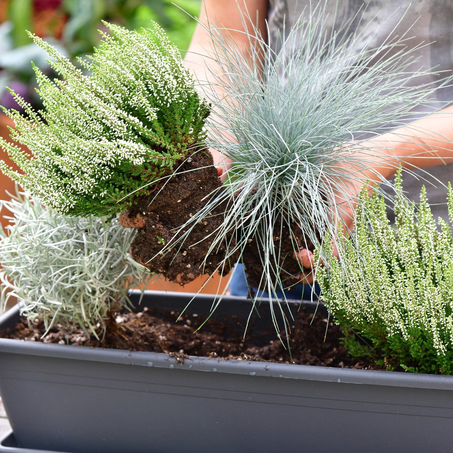 Balkonkasten Set Weißer Herbst