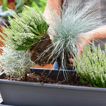 Balkonkasten Set Weißer Herbst